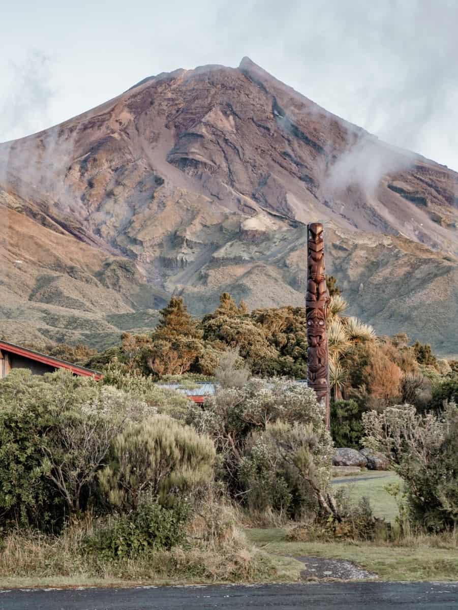 vulkan in neuseeland mit buschen im vordergrund